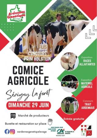 affiche affiche