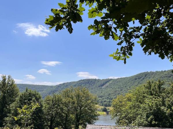 Gîte n°544 "LE PIC VERT" – TOURNAVAUX