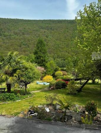 jardin