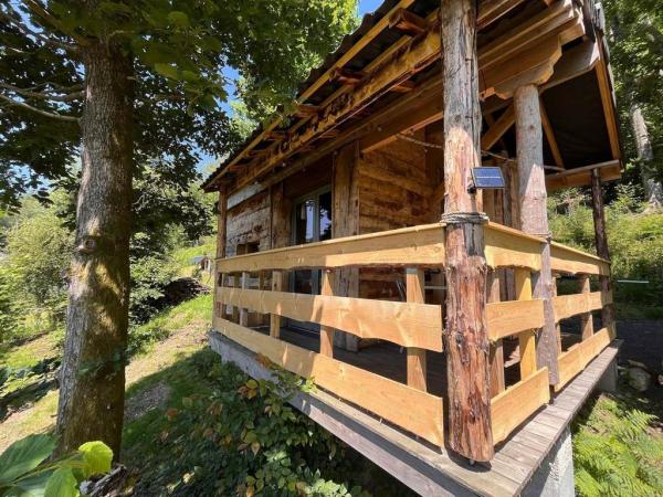 Gîte n°544 "LE PIC VERT" – TOURNAVAUX