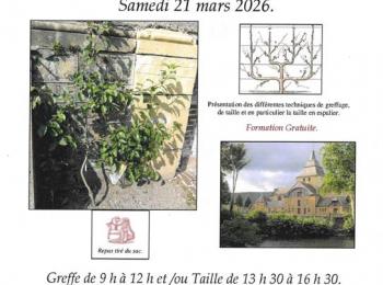 Greffe et taille des arbres fruitiers