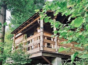 cabane dans les arbres
