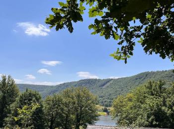 Gîte n°544 "LE PIC VERT" – TOURNAVAUX