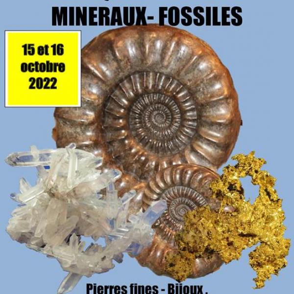 Bourse-Exposition internationale des minéraux et fossiles