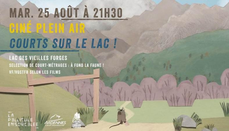 affiche