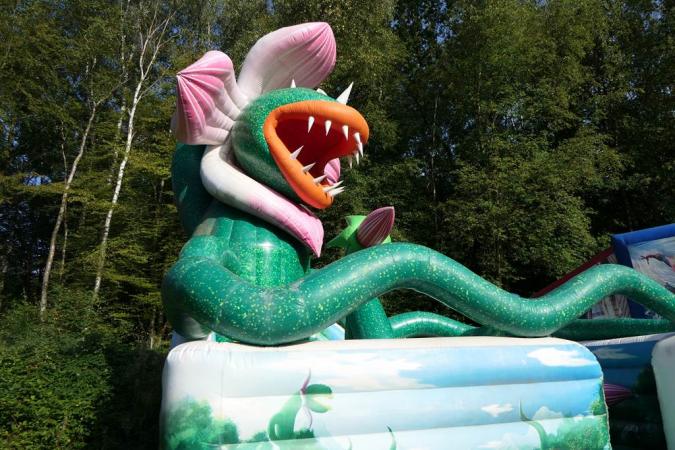 attraction attraction
