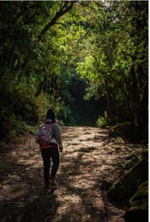 La forêt dans tous ses états La forêt dans tous ses états
