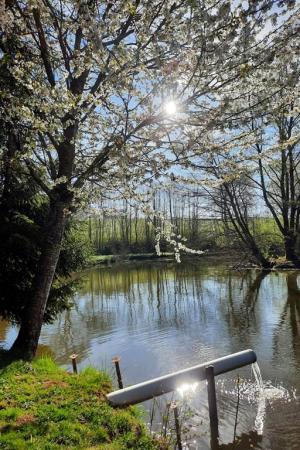 Chambre Les Iris - Lonny - Ardennes