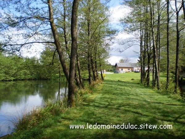 Forêt près du lac Forêt près du lac