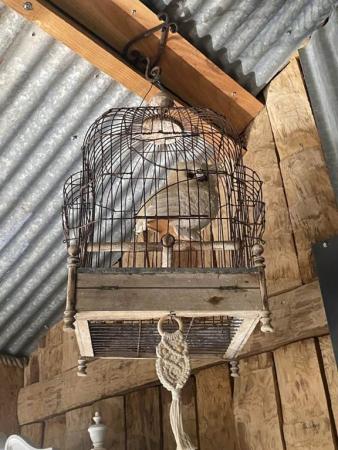 Gîte n°5454 "LA CHOUETTE" – TOURNAVAUX