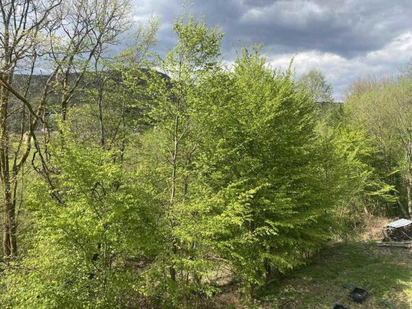 Gîte n°547 "LE FAUCON PELERIN" – TOURNAVAUX