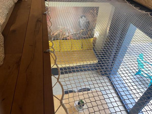 Gîte n°547 "LE FAUCON PELERIN" – TOURNAVAUX