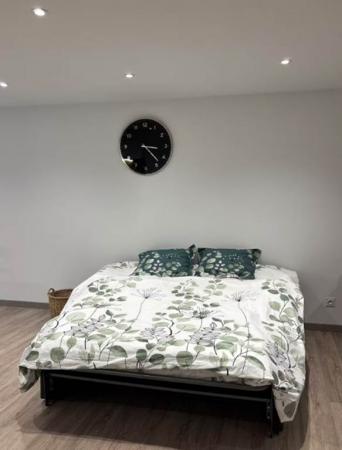 lit double dans pièce à vivre