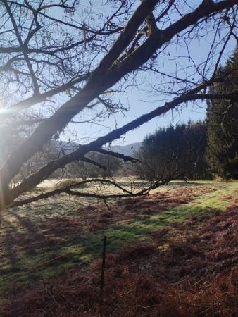 Gîte n°536 "CASA MATTMILA" – HAULME