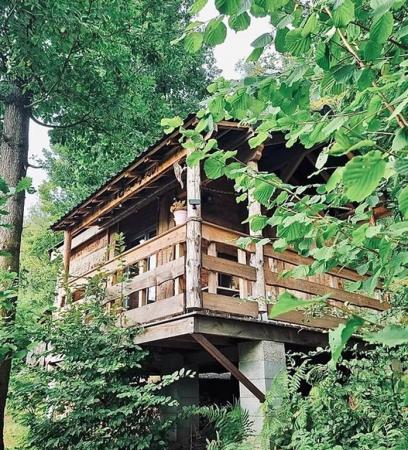 cabane dans les arbres