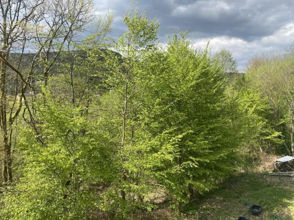 Gîte n°548 "LE GRAND DUC" – TOURNAVAUX