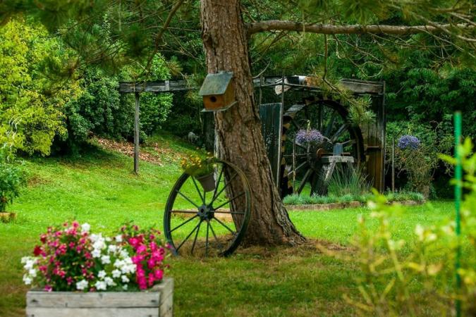 Chambres d'hôtes dans un ancien moulin, étang de 75 ares, pêche - Lonny - Ardennes