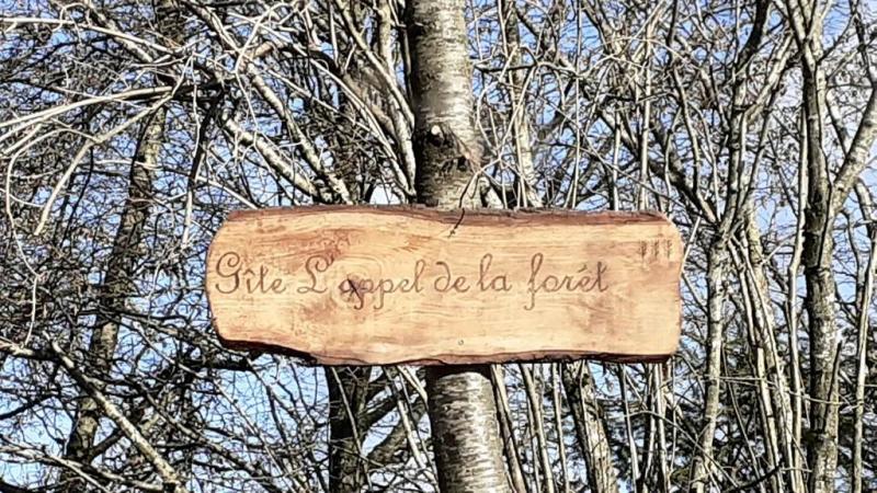 Gîte n°480 "L'APPEL DE LA FORÊT" – ROCROI Gîte n°480 "L'APPEL DE LA FORÊT" – ROCROI