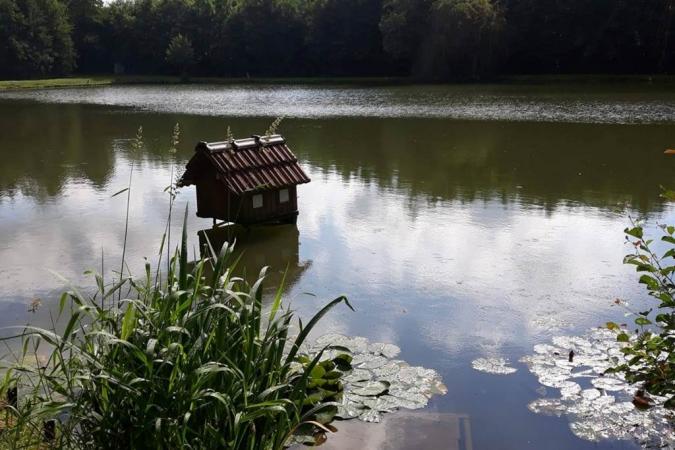 Les Etangs du moulin d'Harcy, chambre d'hôtes dans un ancien moulin proche Charleville-Mézières - Lonny - Ardennes