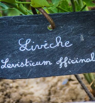 Jardin des simples