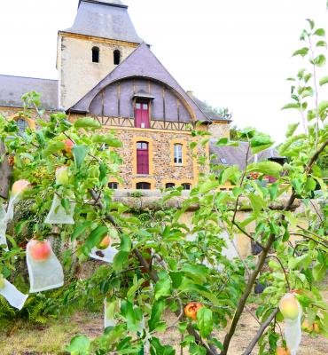 Vergers de l'abbaye