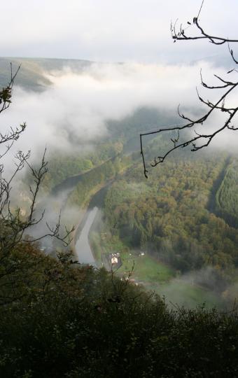 Les Dames de Meuse